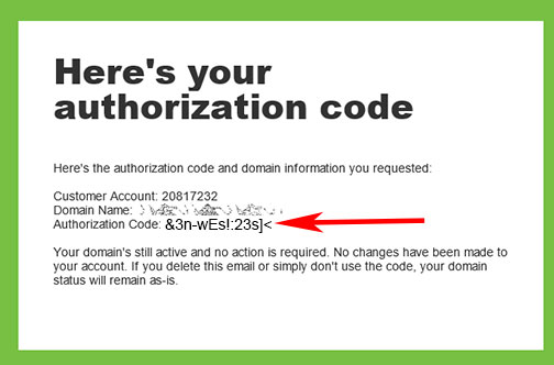 GoDaddy Authorizatoin Code