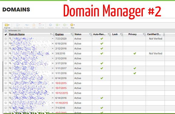 GoDaddy Transfer domain